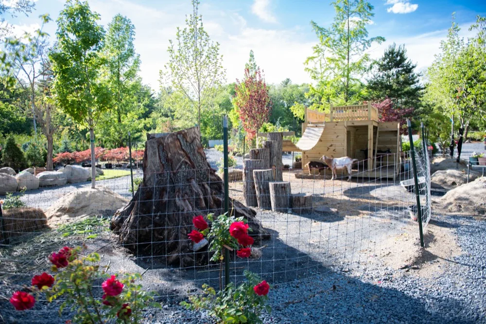 Landscaped design yard at The Angels' Garden with boulders, a wood play structure, and grazing goats